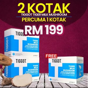 2 KOTAK FREE 1 KOTAK SUSU TIGGOT