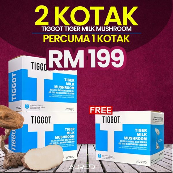 2 KOTAK FREE 1 KOTAK SUSU TIGGOT