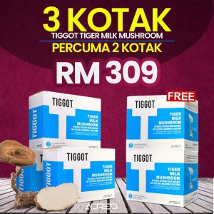 3 KOTAK FREE 2 KOTAK