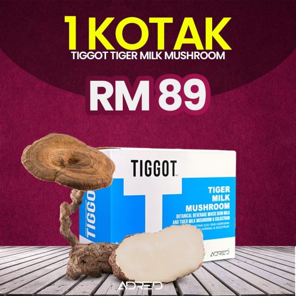 1 KOTAK SUSU TIGGOT